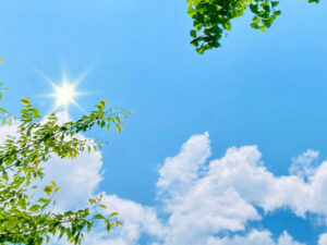 真夏に停電！エアコンが使えないときの暑さ対策と熱中症予防｜今すぐできる方法